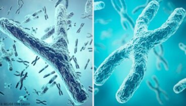 Origine genetica del sesso: i cromosomi X e Y