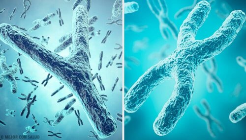Origine genetica del sesso: i cromosomi X e Y