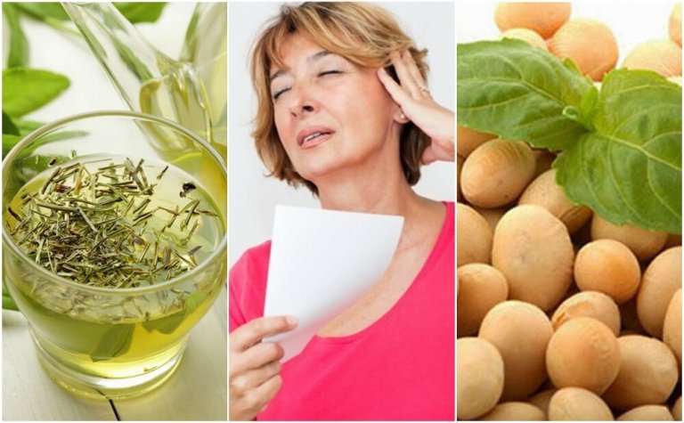 Effetti della menopausa: 5 prodotti naturali