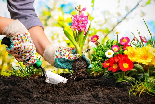 donna che fa giardinaggio