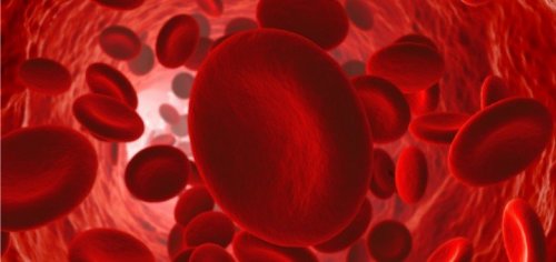 Come mantenere una buona circolazione sanguigna