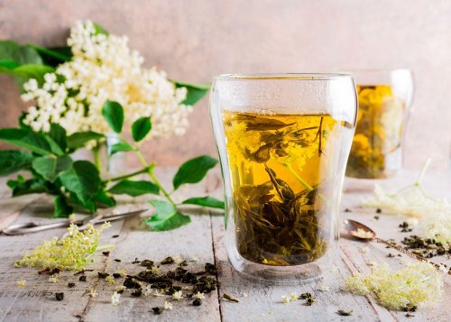 Infuso di fiori di sambuco