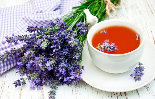 Infuso lavanda