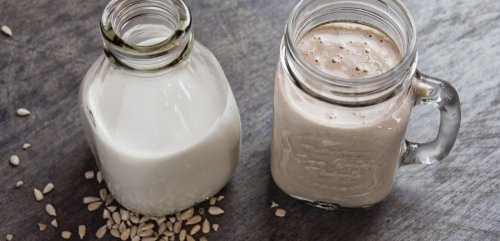 Latte di scagliola