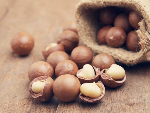 Noci di macadamia