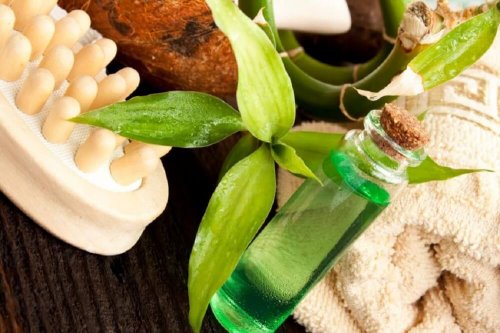 Olio albero del tè contro le punture delle pulci