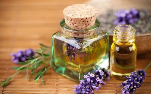 Olio lavanda contro le punture delle pulci