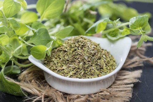 Origano