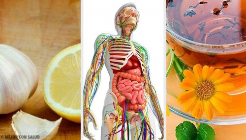 Depurare il sistema linfatico con rimedi naturali Depurare il sistema linfatico con rimedi naturali