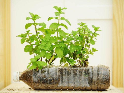 Usare bottiglie di plastica