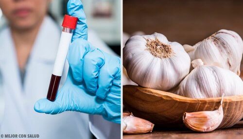 Aglio: proprietà anticoagulanti