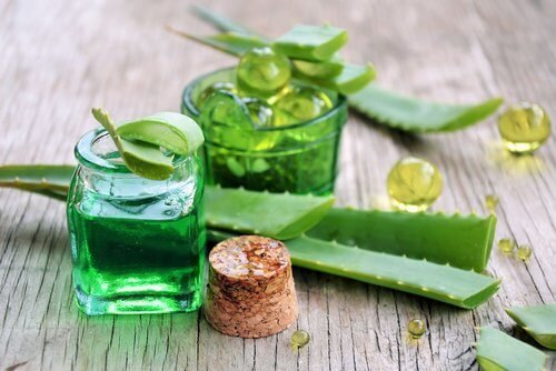 Aloe vera per capelli luminosi e setosi.