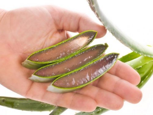 gel di aloe vera