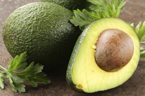 Avocado