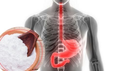 Bicarbonato di sodio e immagine tubo digerente