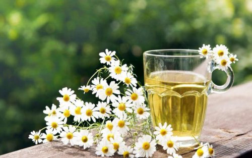 La camomilla, come ricavarne tanti rimedi naturali