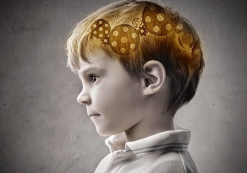 Cervello di un bambino