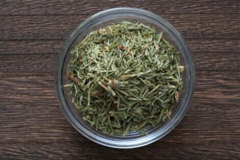 Coda cavallina per combattere il dolore al seno.