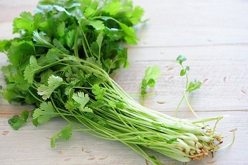 Coriandolo
