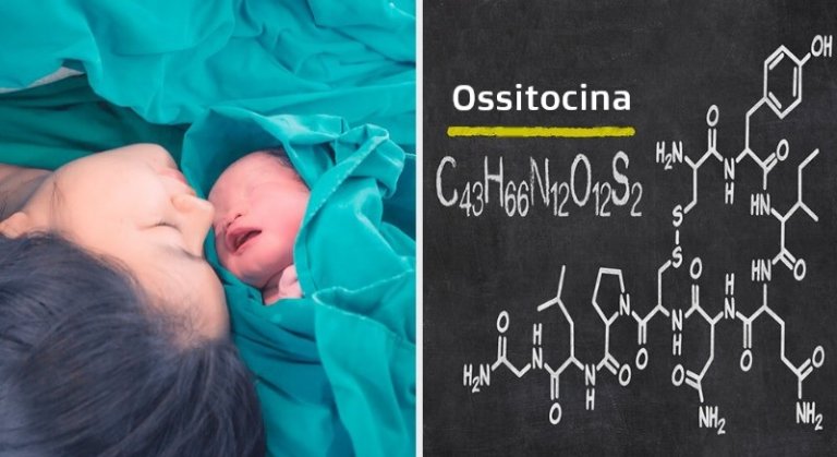 Cos'è l'ossitocina e in quali processi interviene?