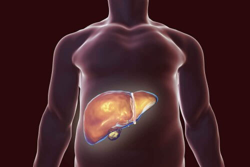 I migliori rimedi naturali per disintossicare il fegato