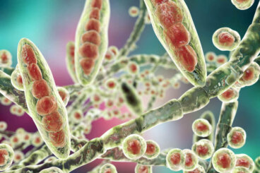 Trattare i funghi con rimedi naturali