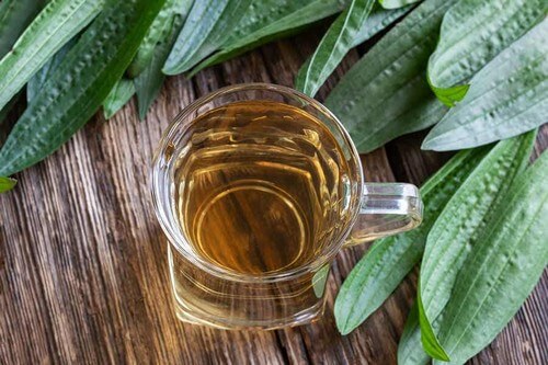 Infuso di erbe.