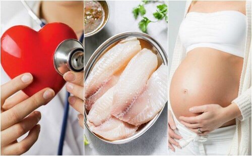 La tilapia: ecco i 7 benefici e le sue proprietà