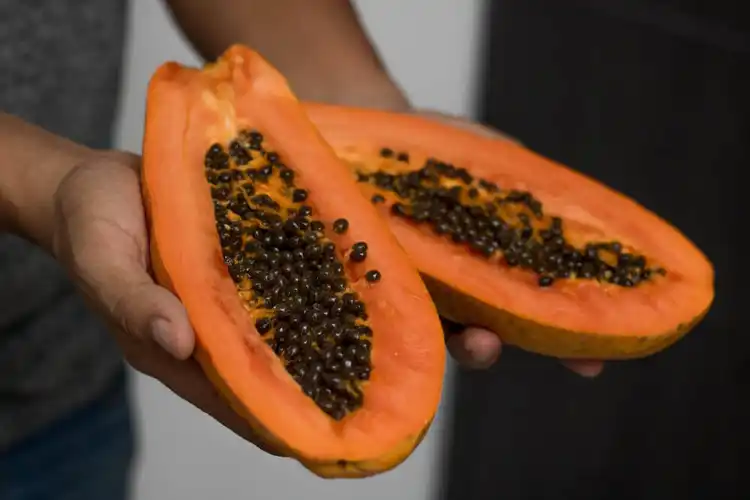 Benefici dei semi di papaya