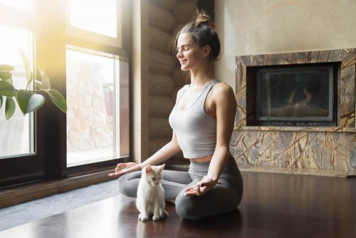 Ragazza realizza esercizi di yoga con gatto