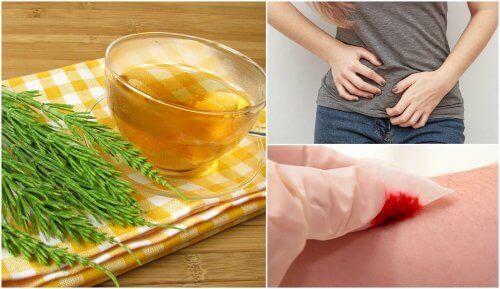 Rimedi con l'equiseto