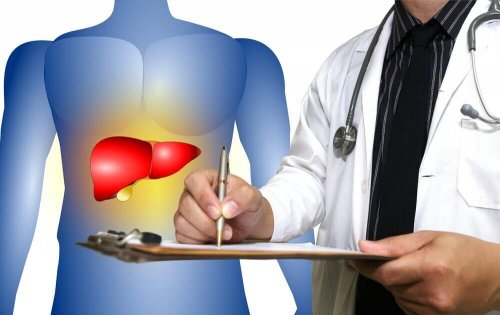 Rimedi naturali per il fegato ingrossato