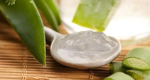 Rimedio a base di aloe vera