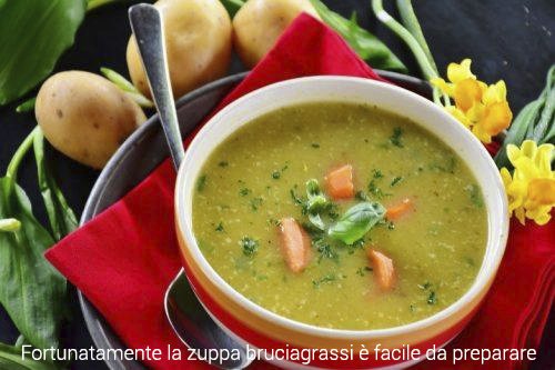 Zuppa piccante di verdure