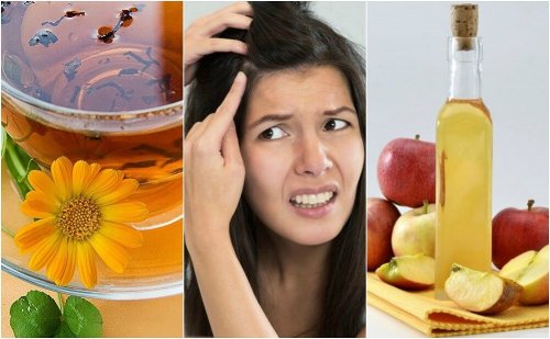 Cuoio capelluto sensibile: 5 rimedi naturali