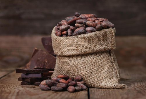 fave di cacao
