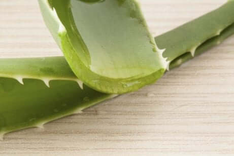 Aloe vera contro le scotatture