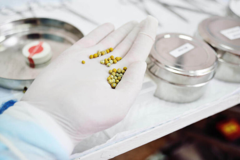 Dieta per i calcoli biliari: utili consigli