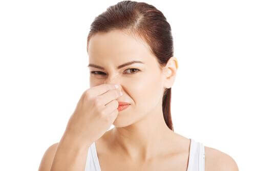 Eliminare i cattivi odori in casa con 2 ingredienti Eliminare i cattivi odori in casa con 2 ingredienti
