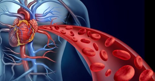 4 rimedi naturali per stimolare la circolazione sanguigna