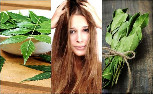 Erbe e donna con mani nei capelli