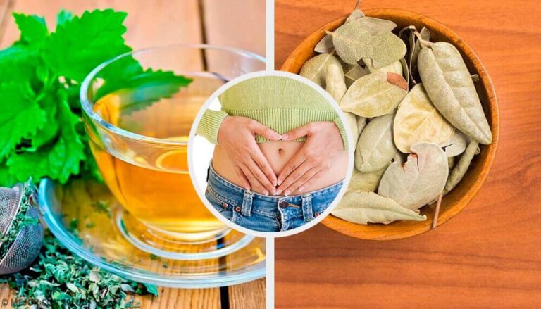 Problemi digestivi: 5 piante medicinali