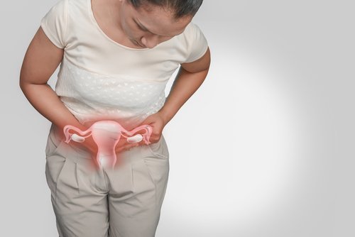 Fibromi