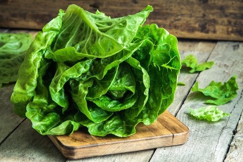 Foglie di lattuga per sostituire il pane