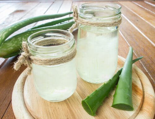 Aloe vera in barattoli