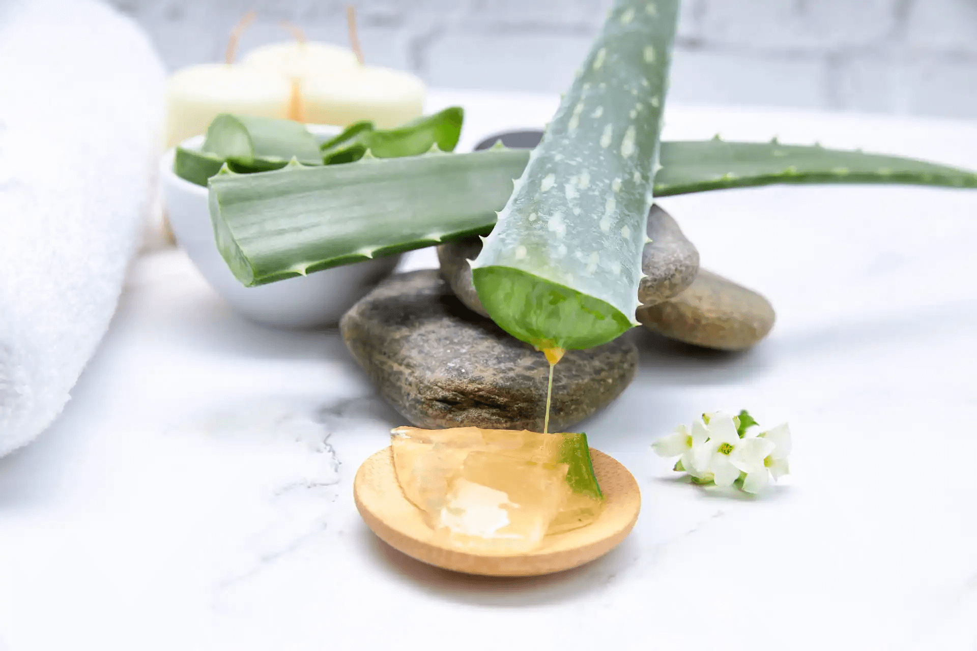 Gel di aloe vera.