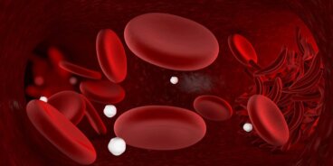 Rimedi infallibili per combattere l'anemia in casa