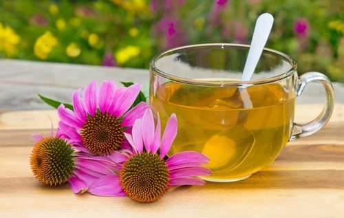 Infuso di echinacea.