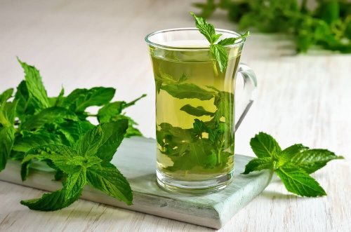 Menta per problemi digestivi