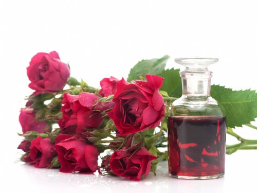 Olio di camelia